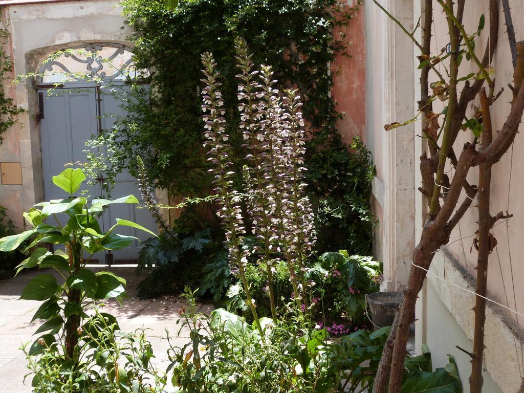 Montaut  Maison Arriu B&B 외부 사진